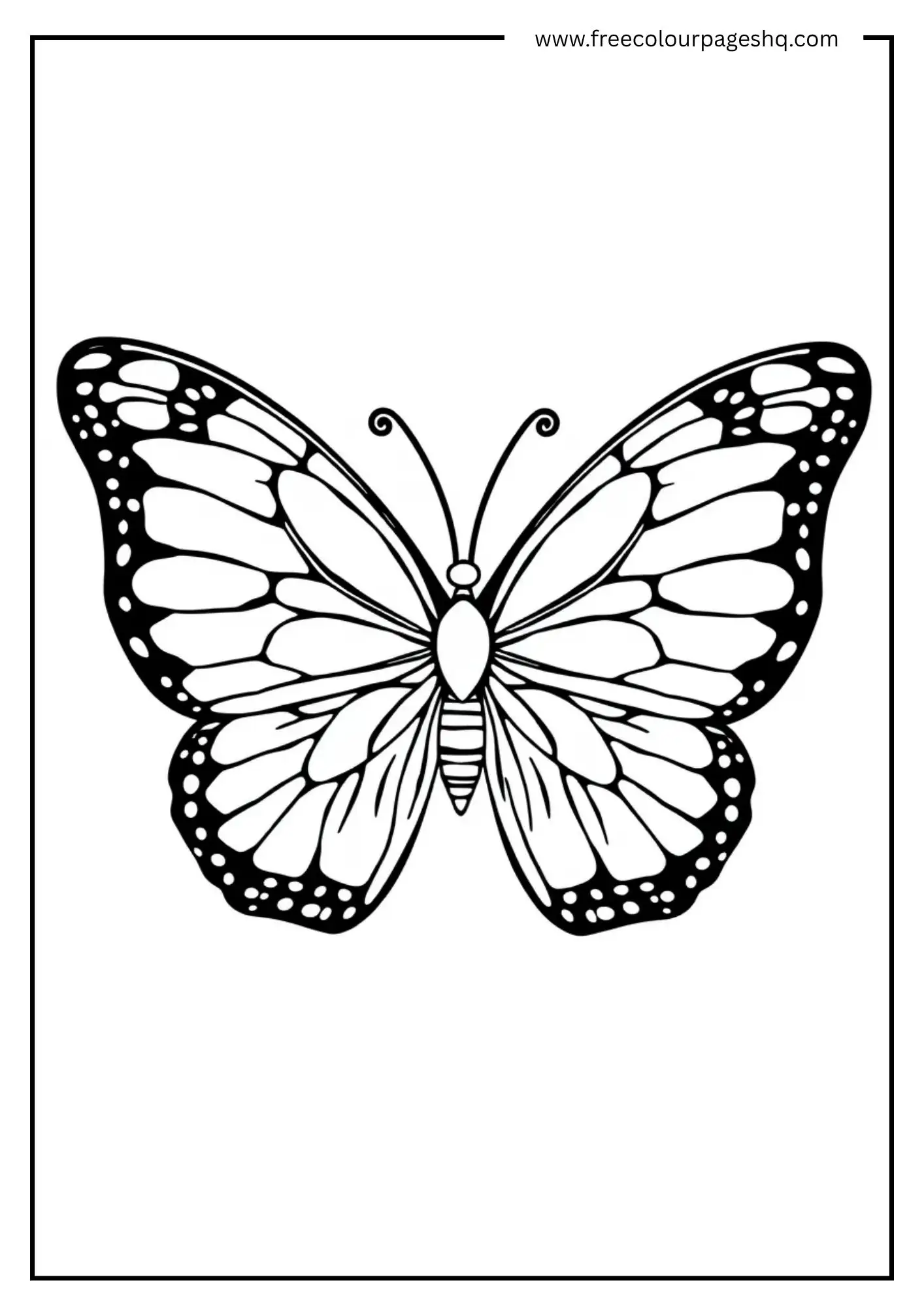 Symmetrical Wings