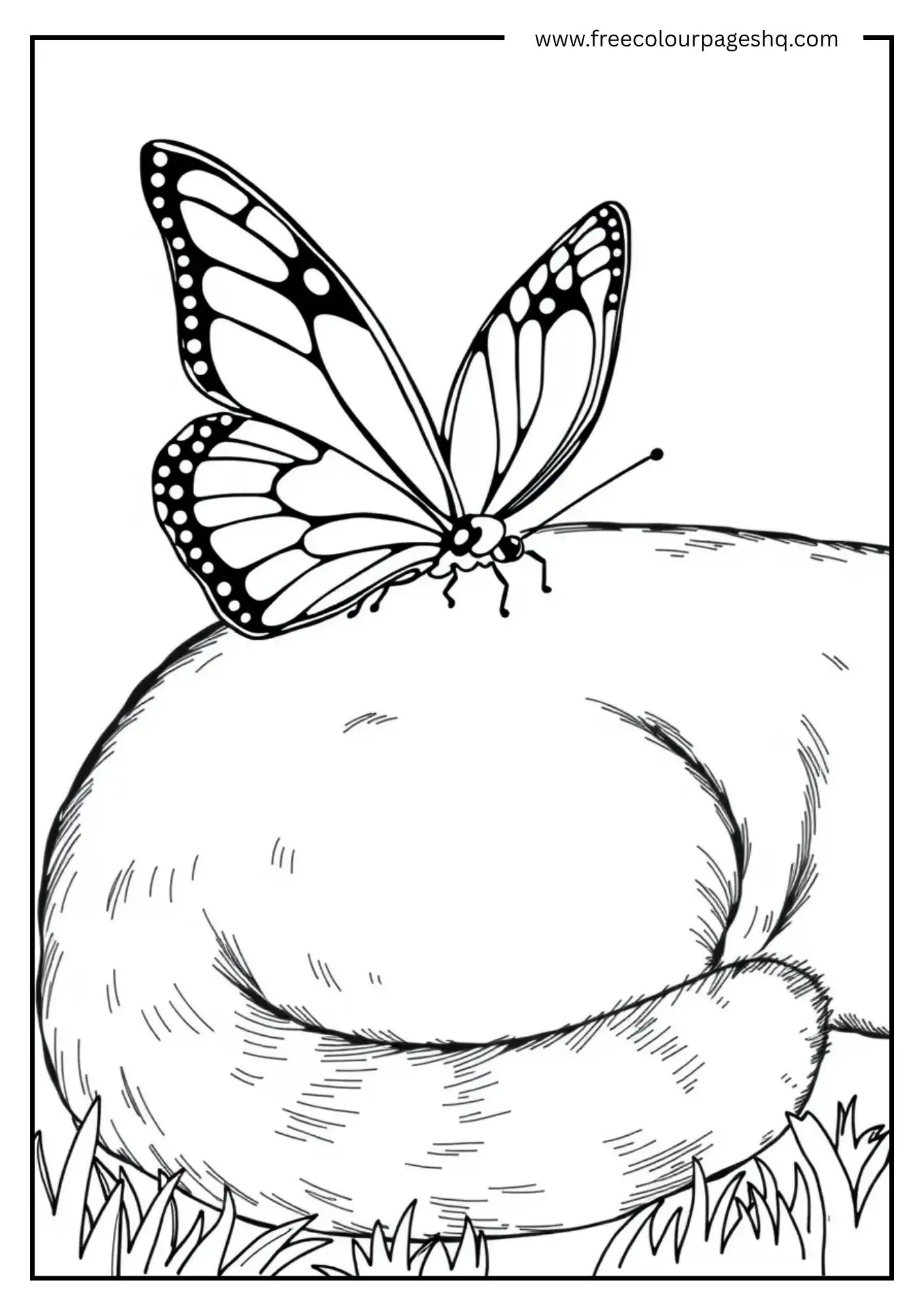 Tail's Rest