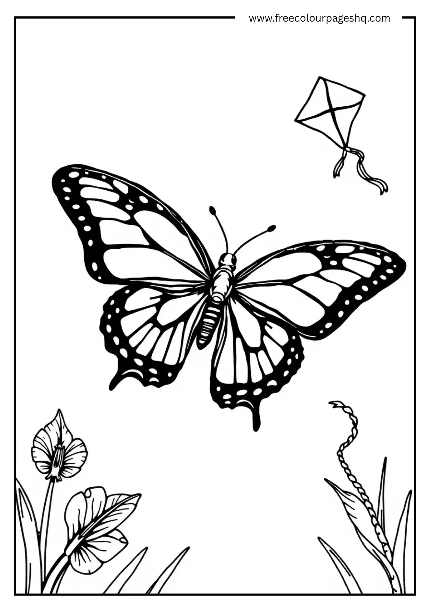 The Kite's Companion