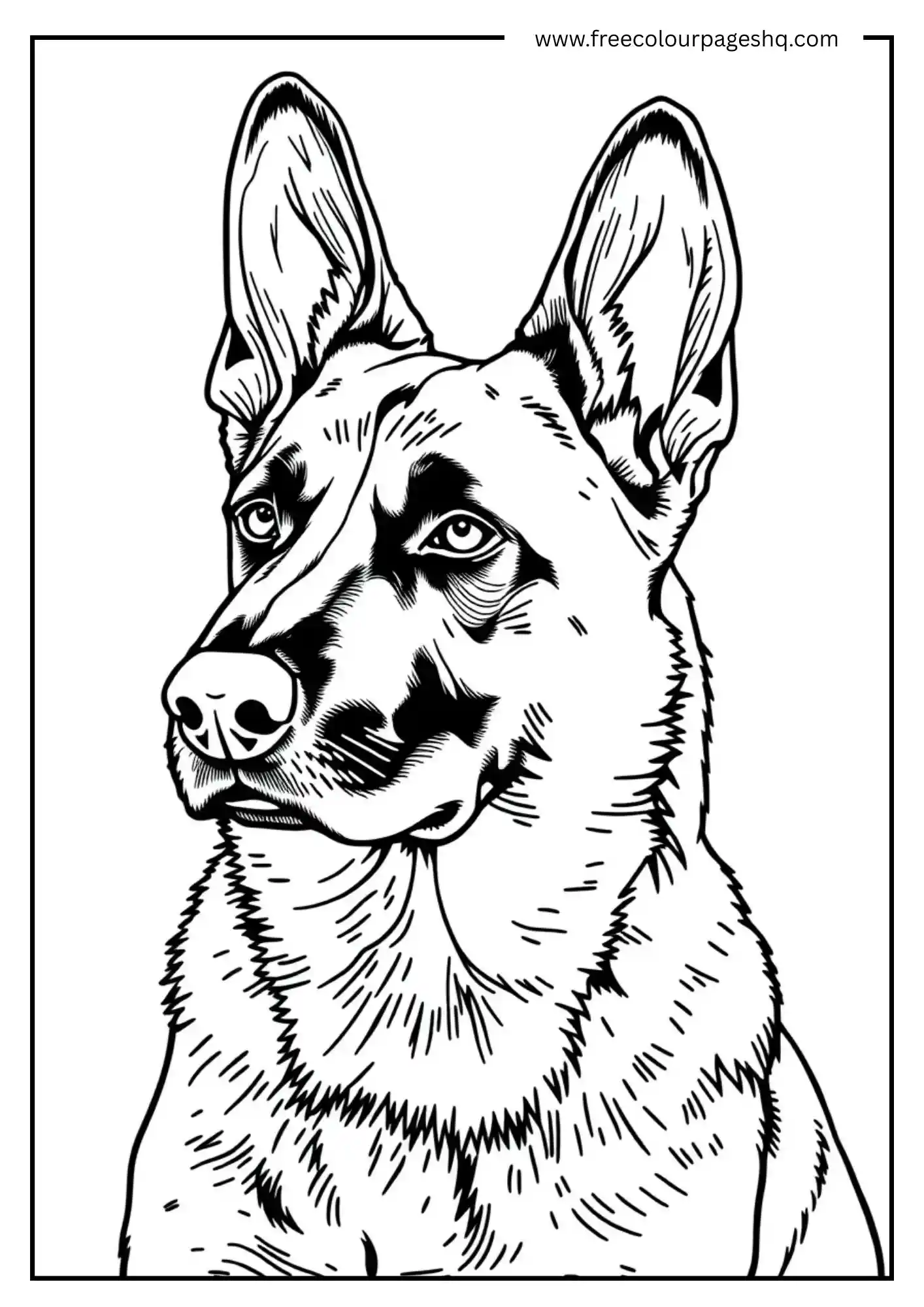 Watchful Dog