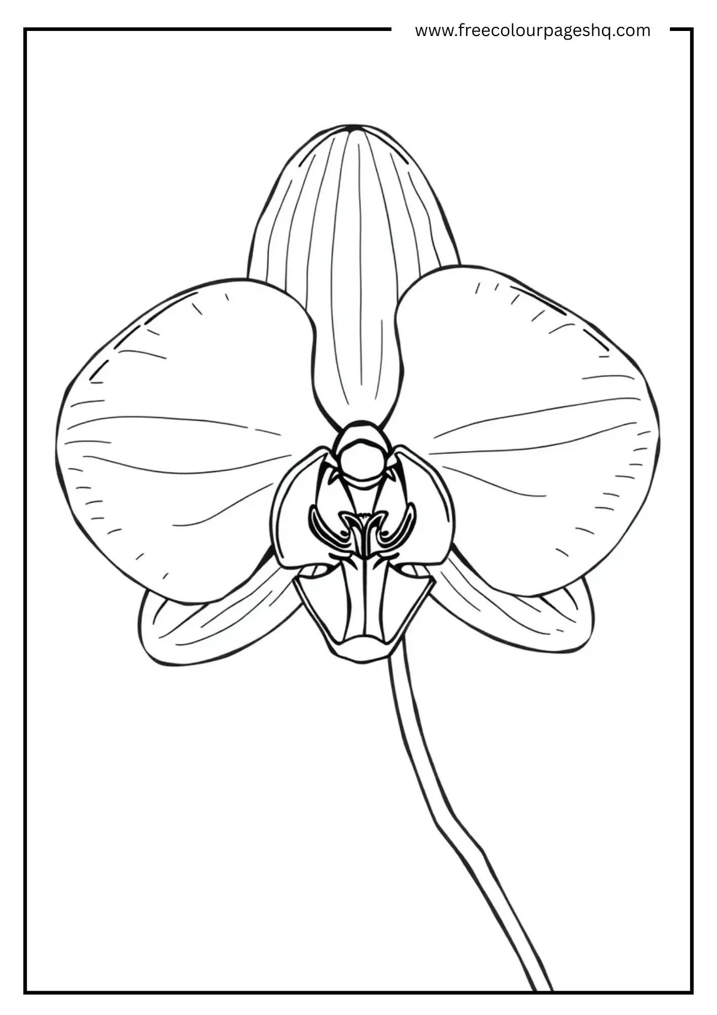 Water Flower