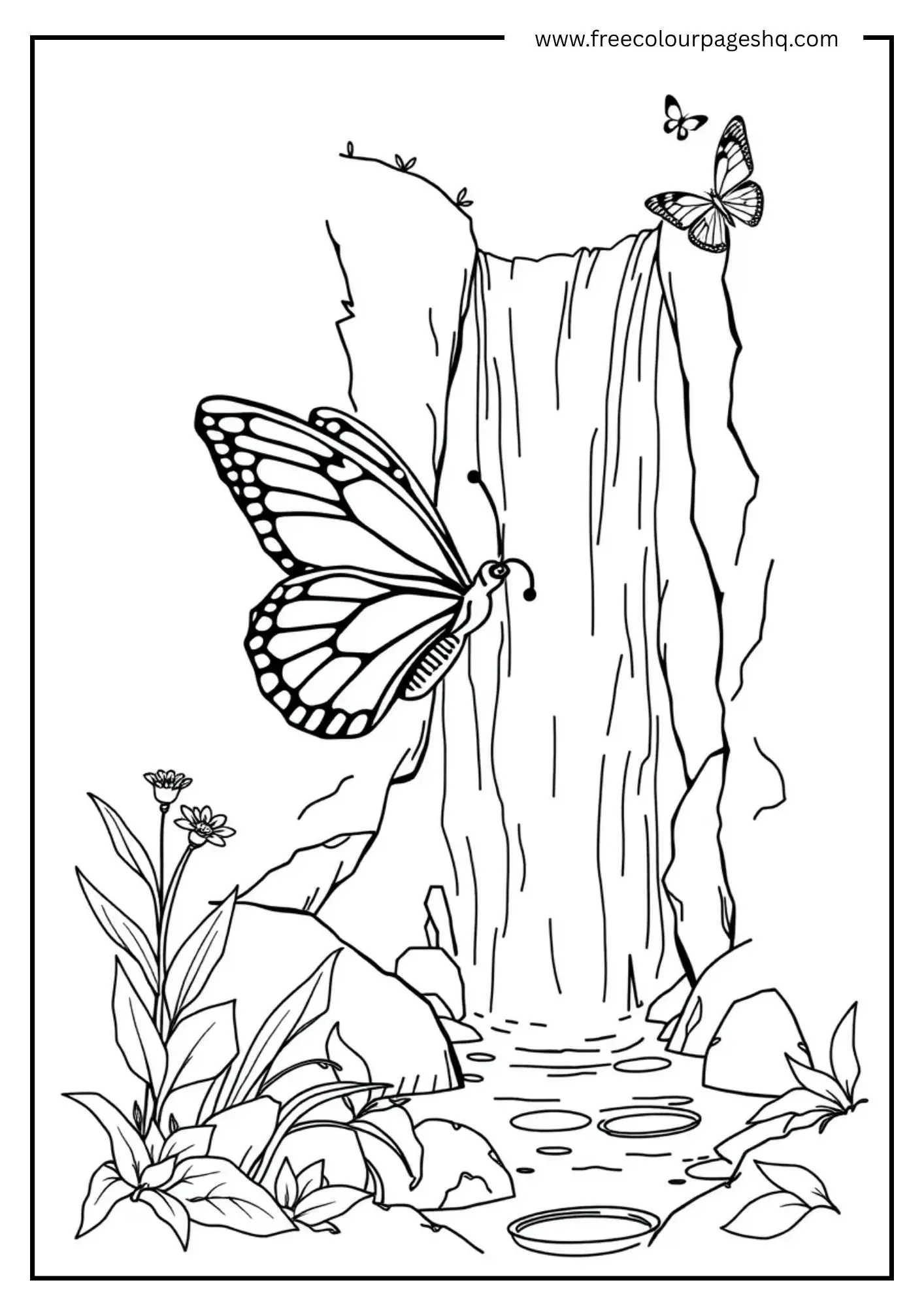 Waterfall Butterflies