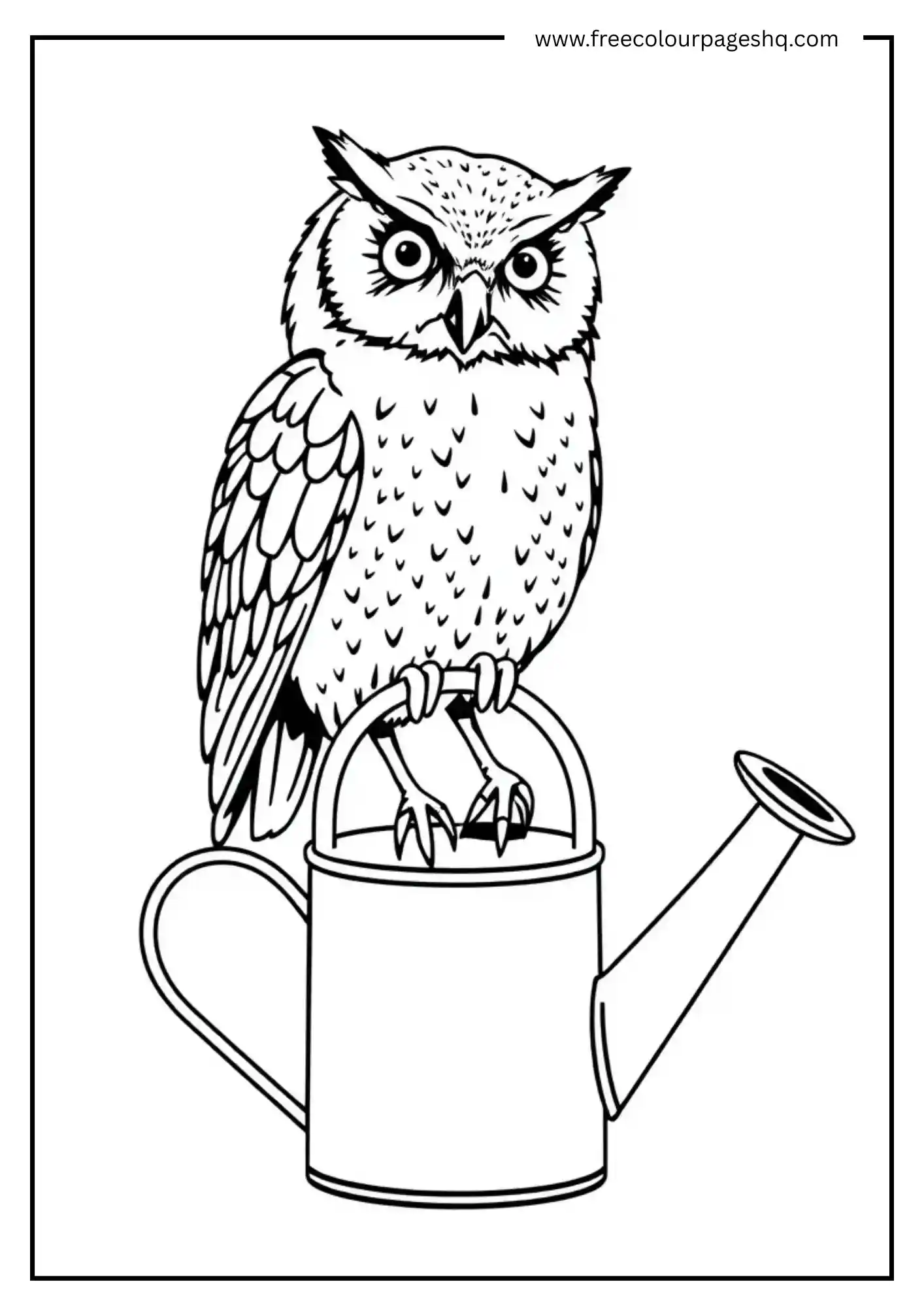 Watering Can Owl