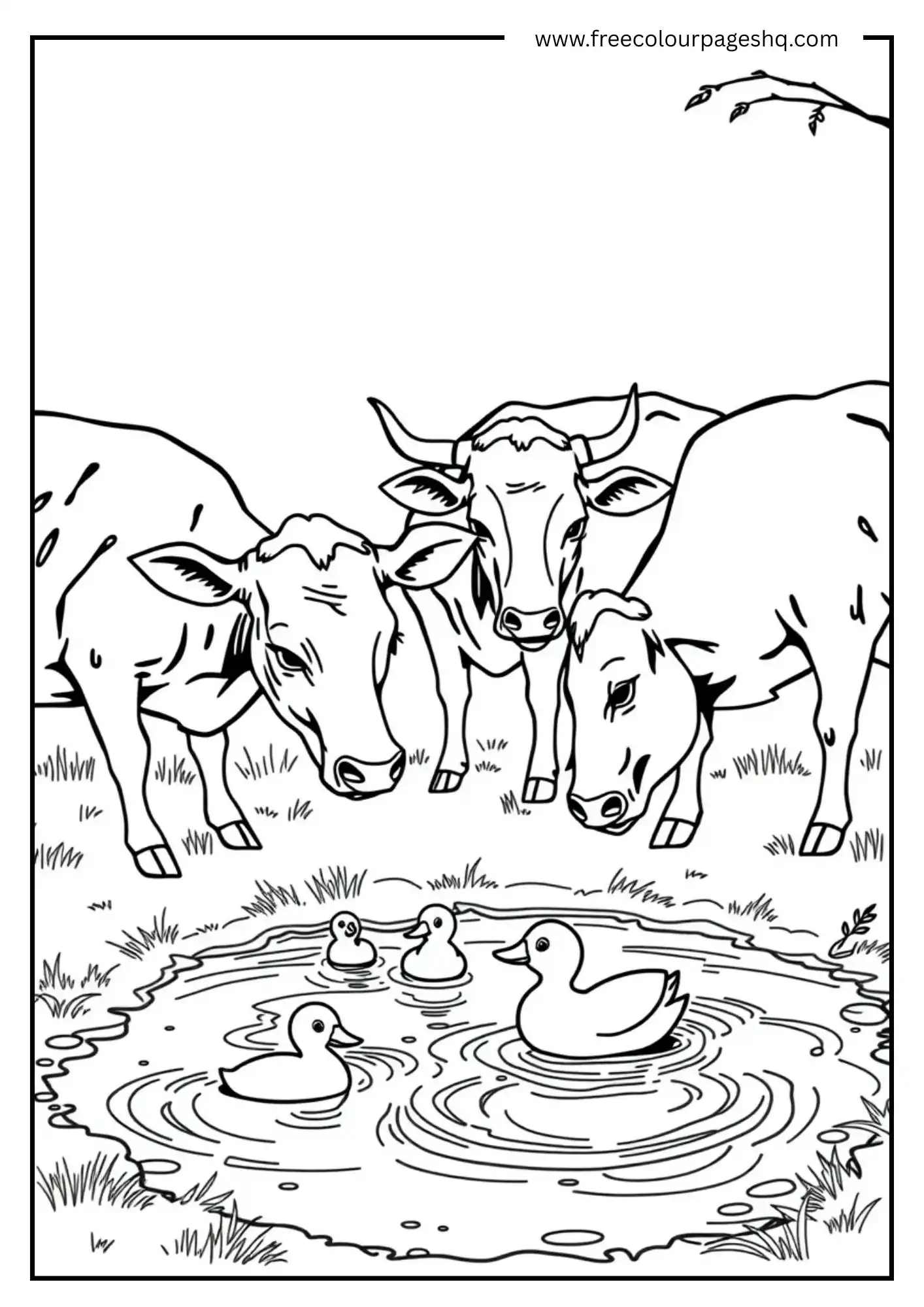 Watering Hole Cows Watering Hole Cows