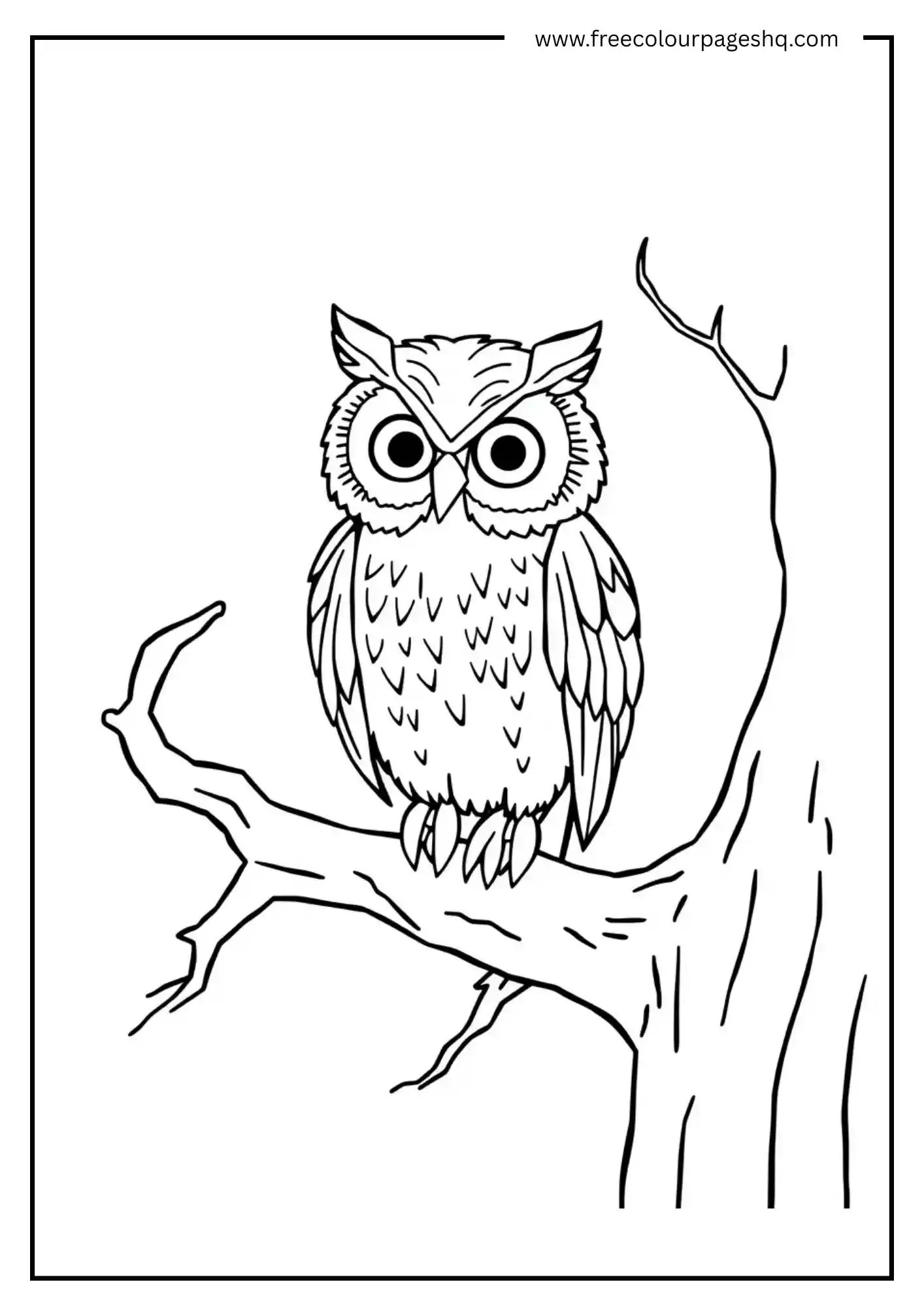 Owl on a Full Moon