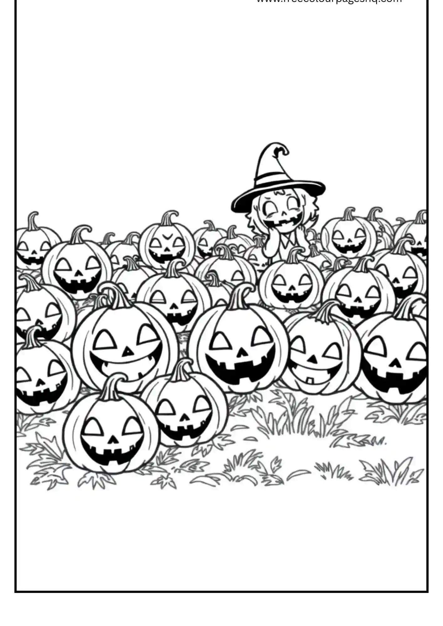 Pumpkin Patch Adventure
