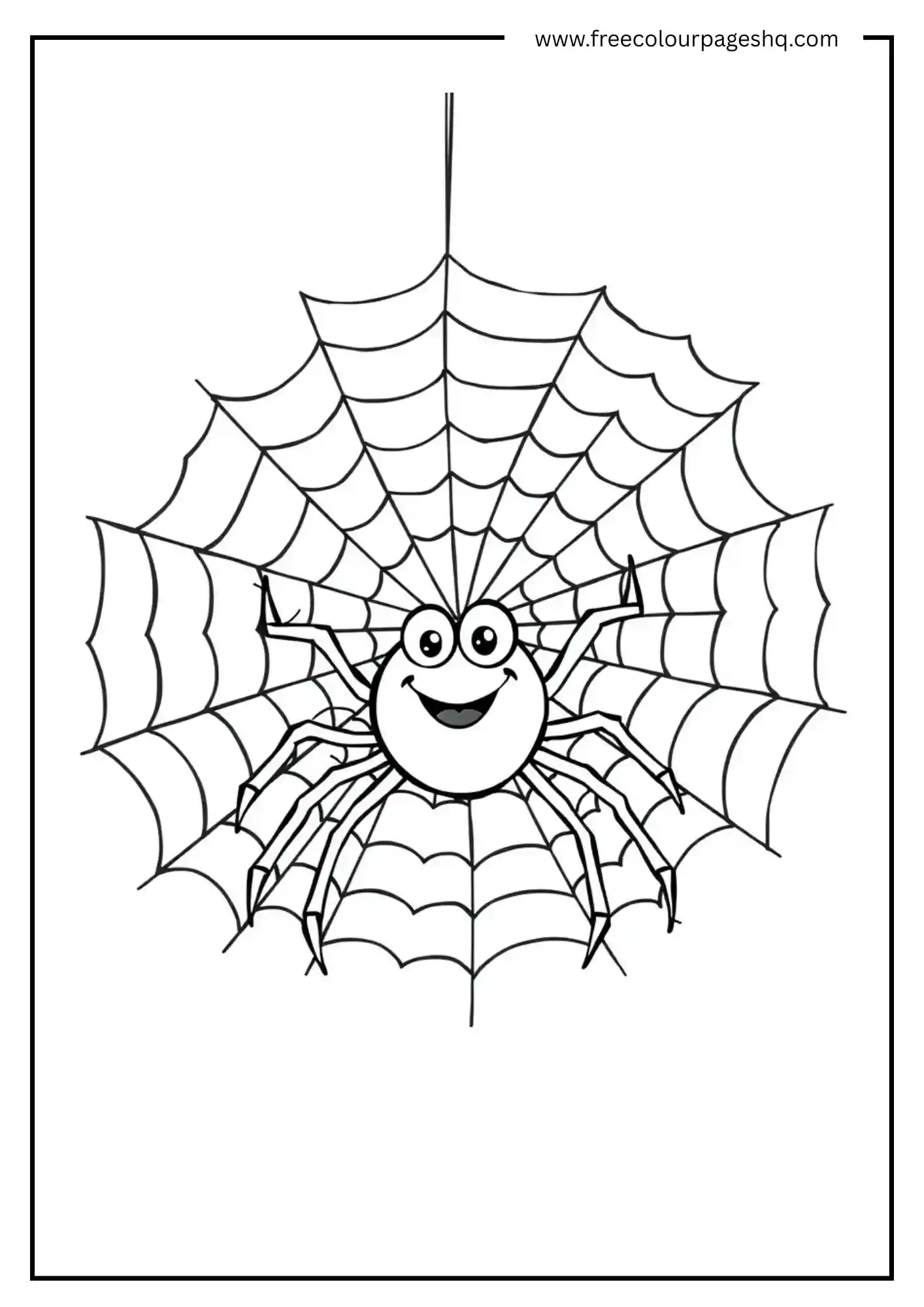 Spider Web Surprise