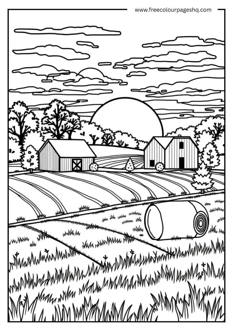 Thanksgiving Sunset Scene