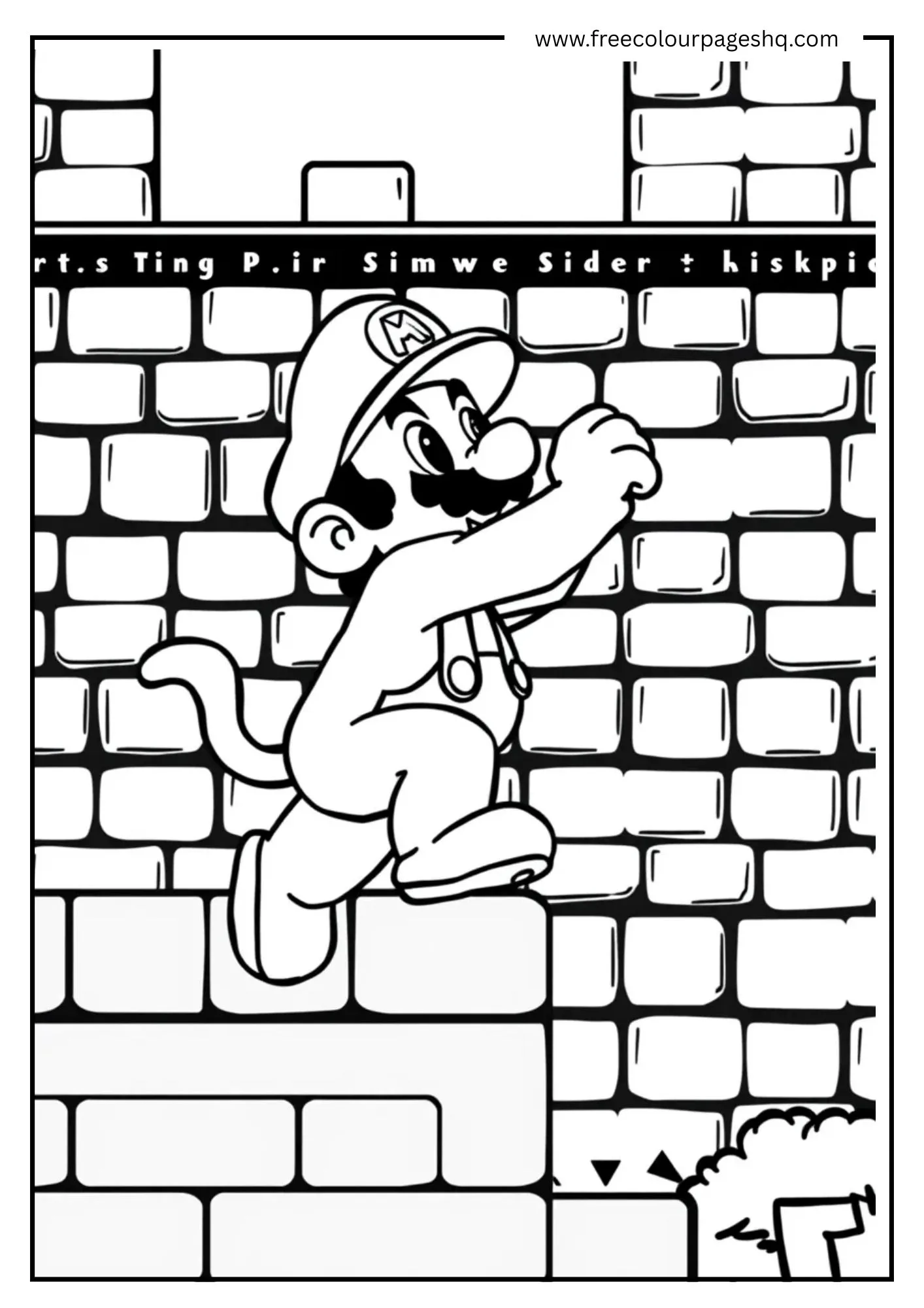 Cat Mario Climbing Wall 