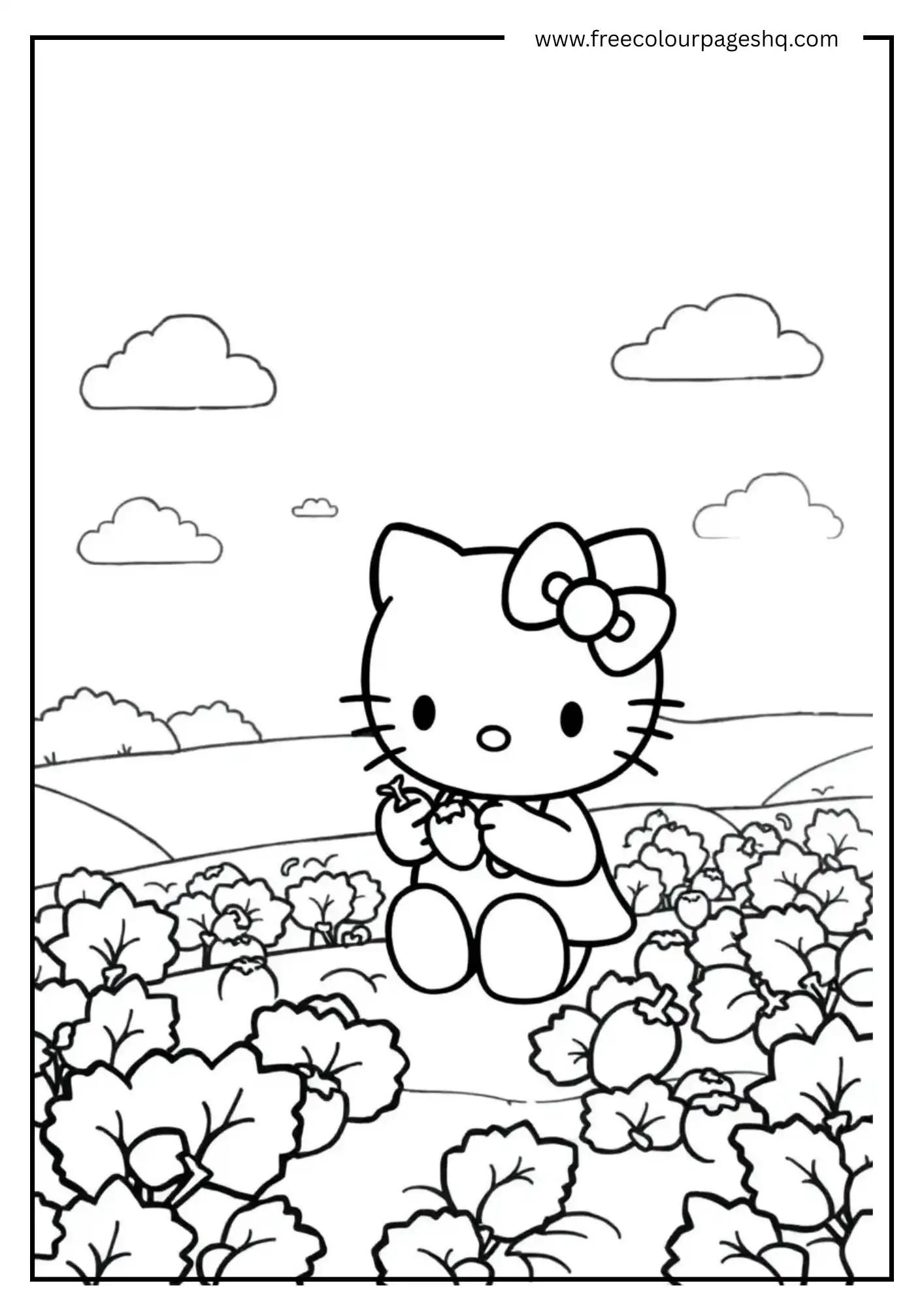 Hello Kitty Strawberry Patch