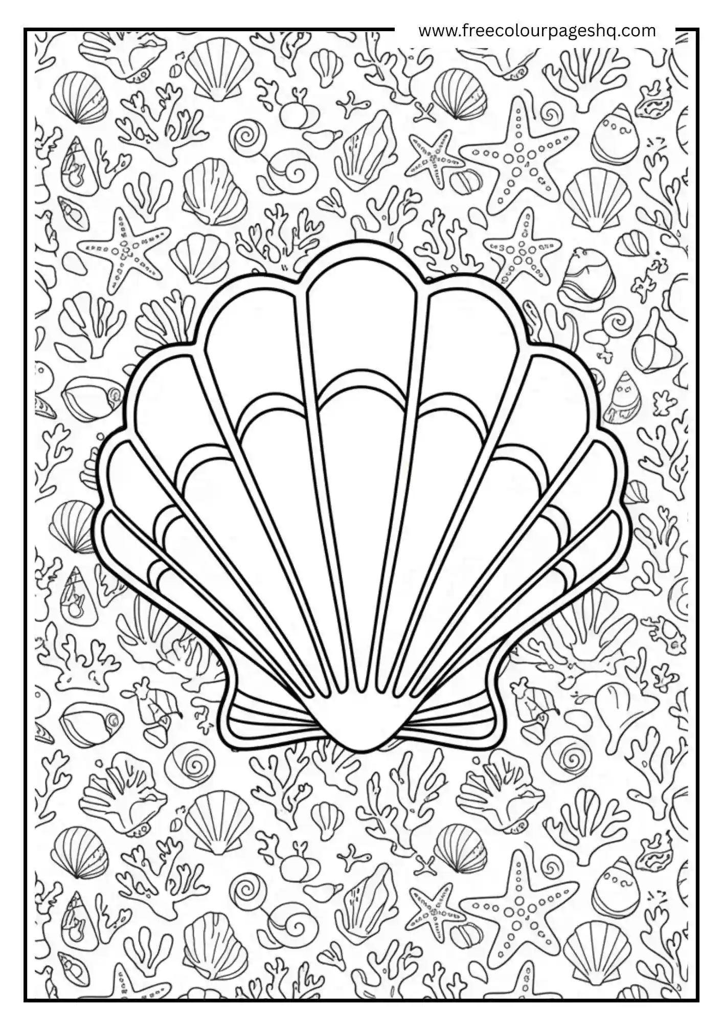 Seashell Border