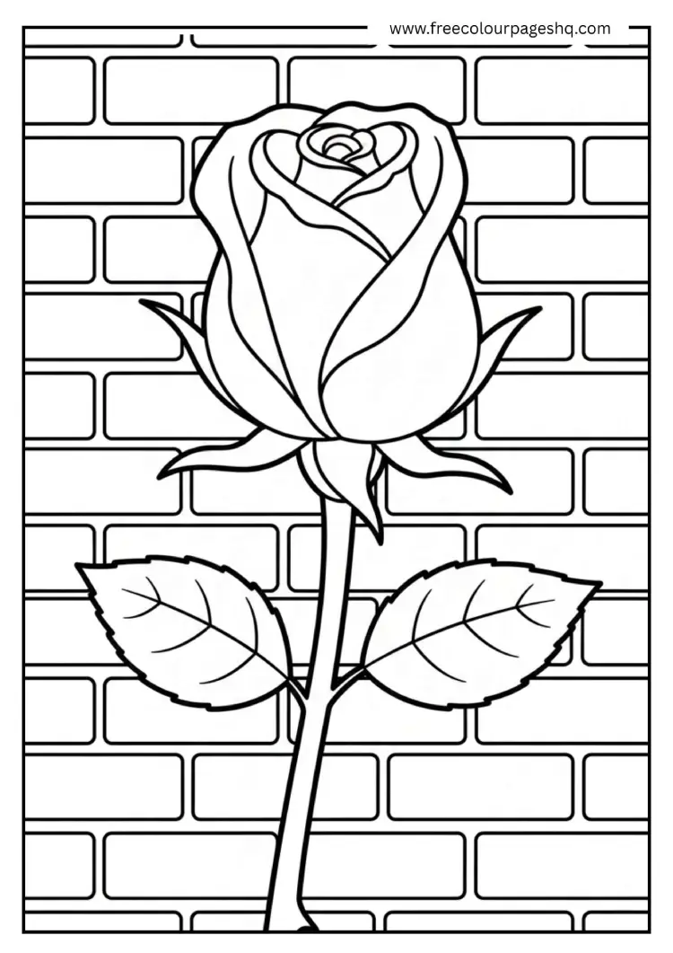 Spring Rosebud
