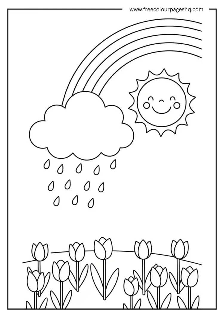 Sun and Rain Combo