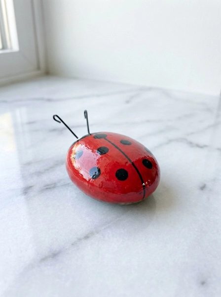 Ladybug Rocks