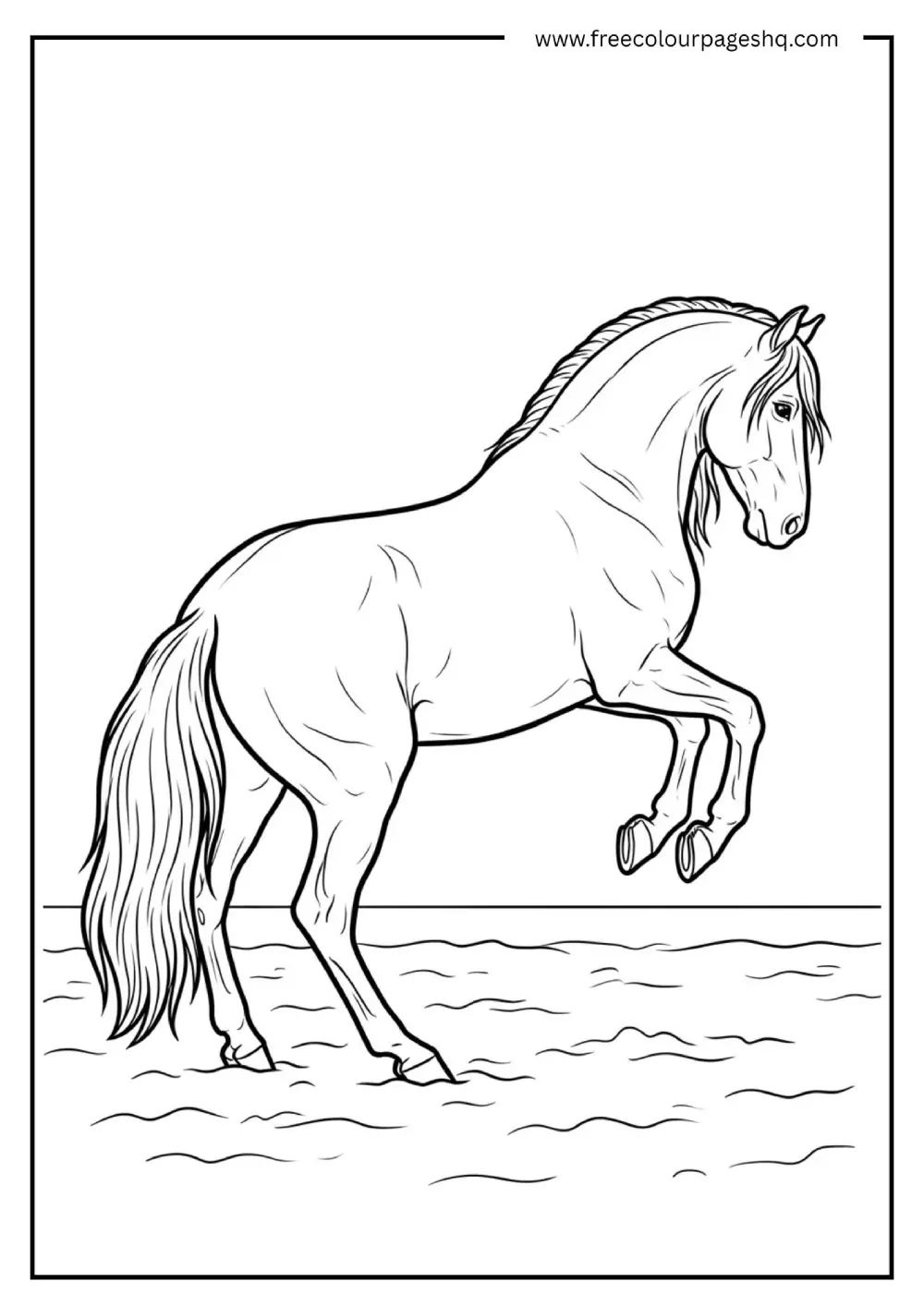 Andalusian Horse Performing Dressage Coloring Sheet