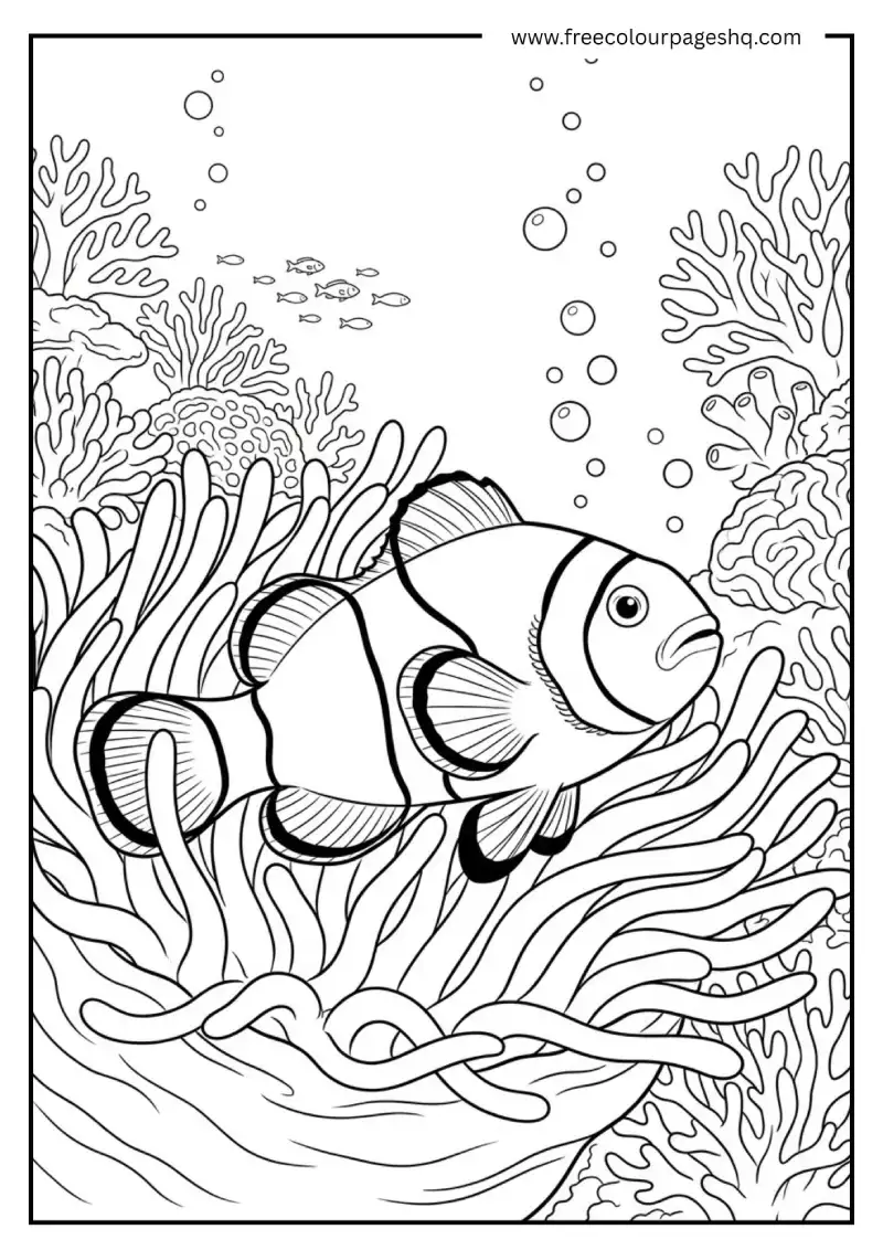 Clownfish in Anemone Home