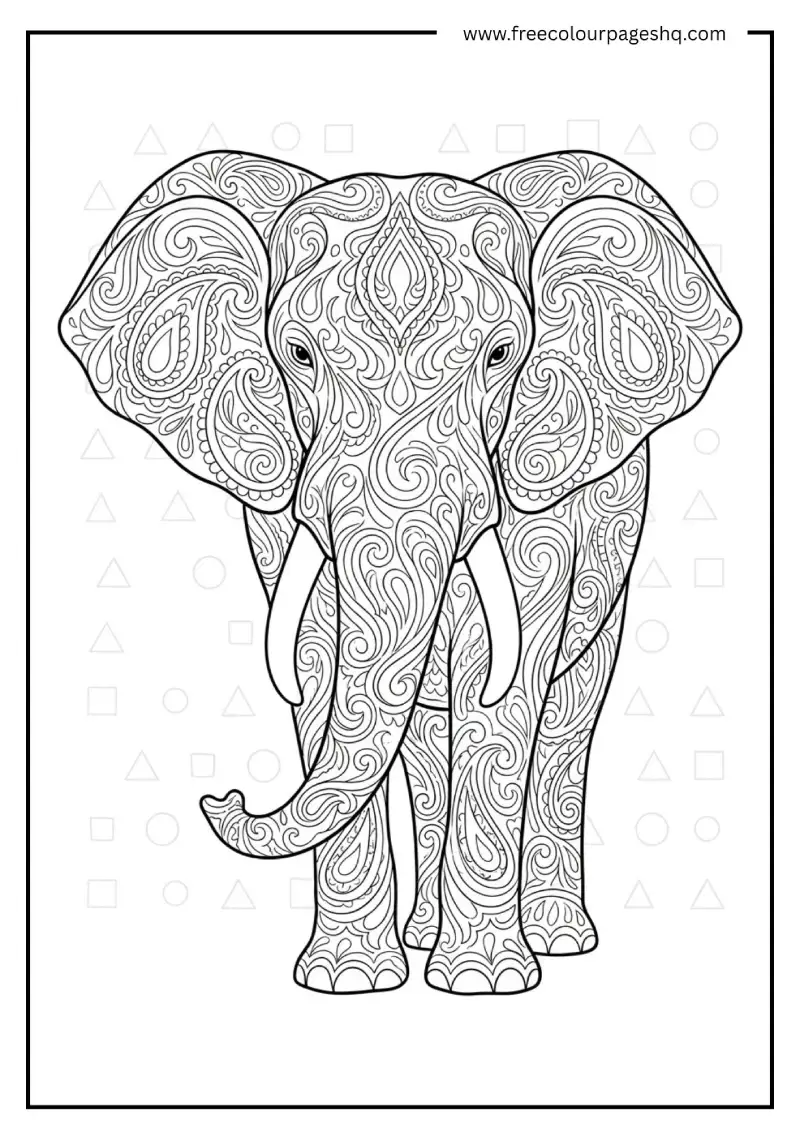 Elephant with Paisley Patterns