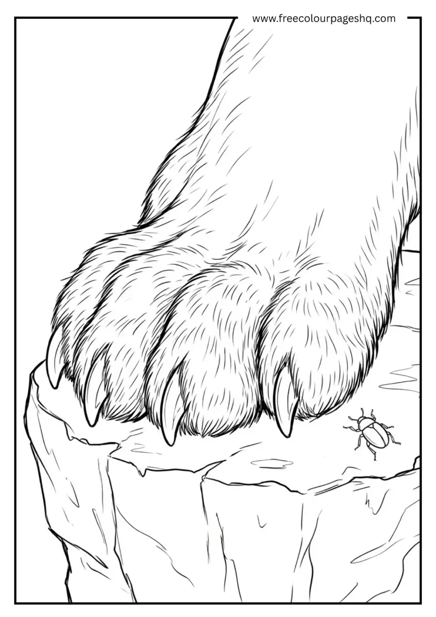 Lion Paw Close Up