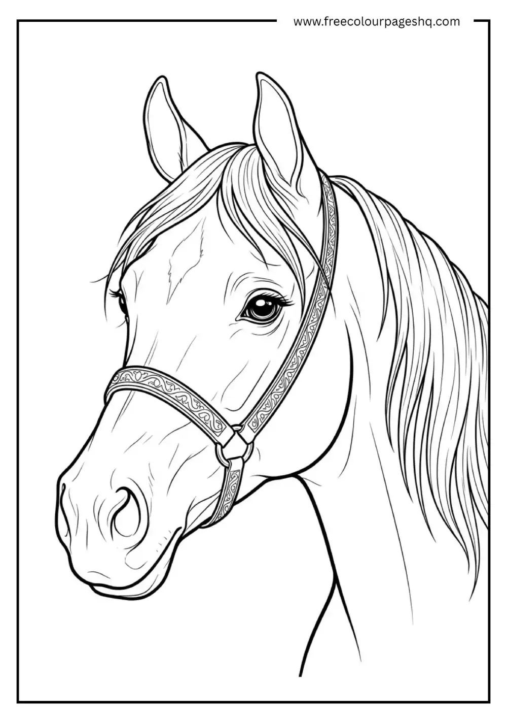 Realistic Arabian Horse Portrait Coloring Page