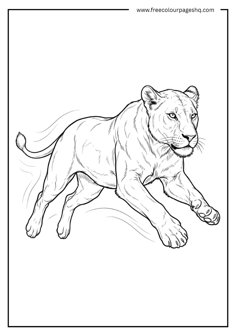Realistic Lioness Running