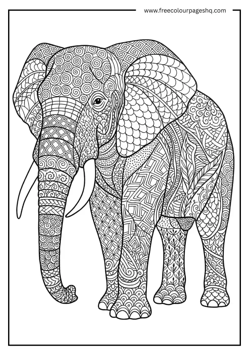 Zentangle Elephant