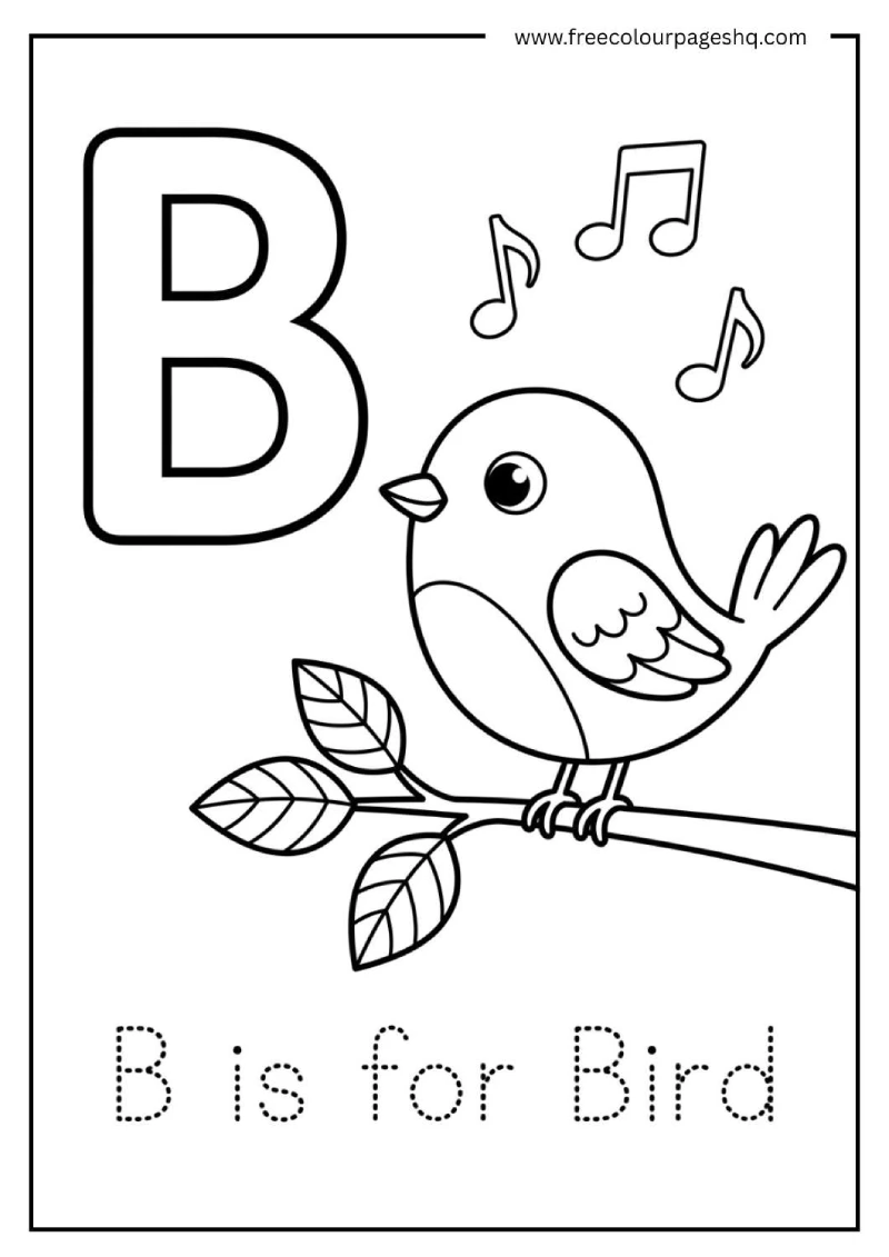 b is for bird coloring page