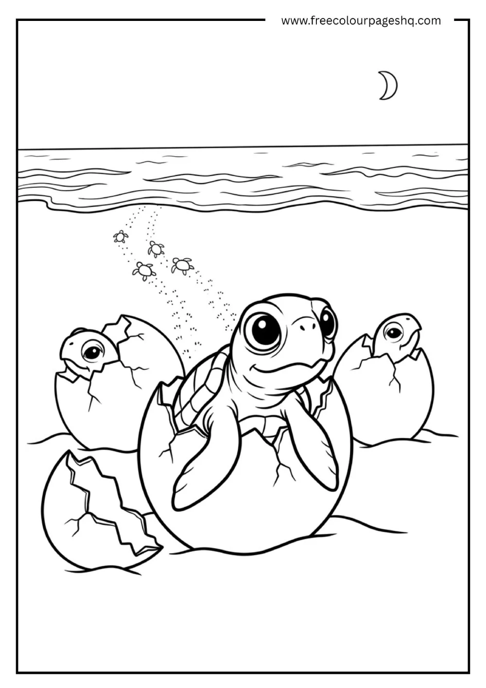 baby sea turtle hatching beach coloring page