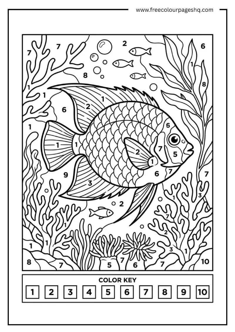 color by number kids fish ocean color by number kids fish ocean