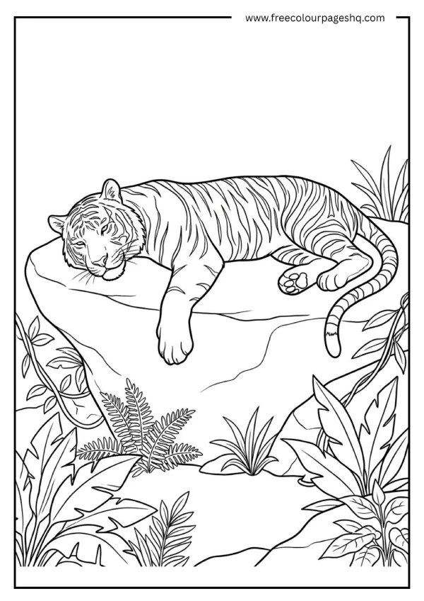 realistic tiger resting on rock coloring page