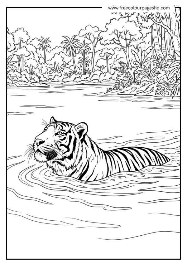 realistic tiger swimming river coloring page