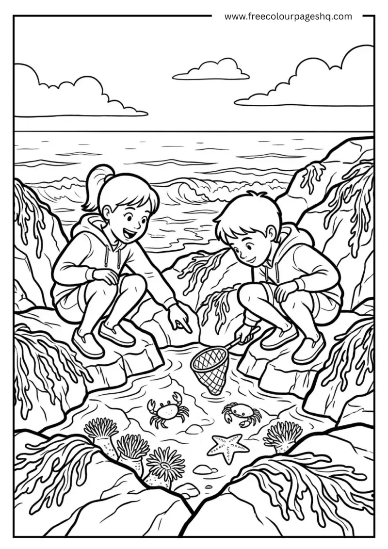 rock pooling children coloring page