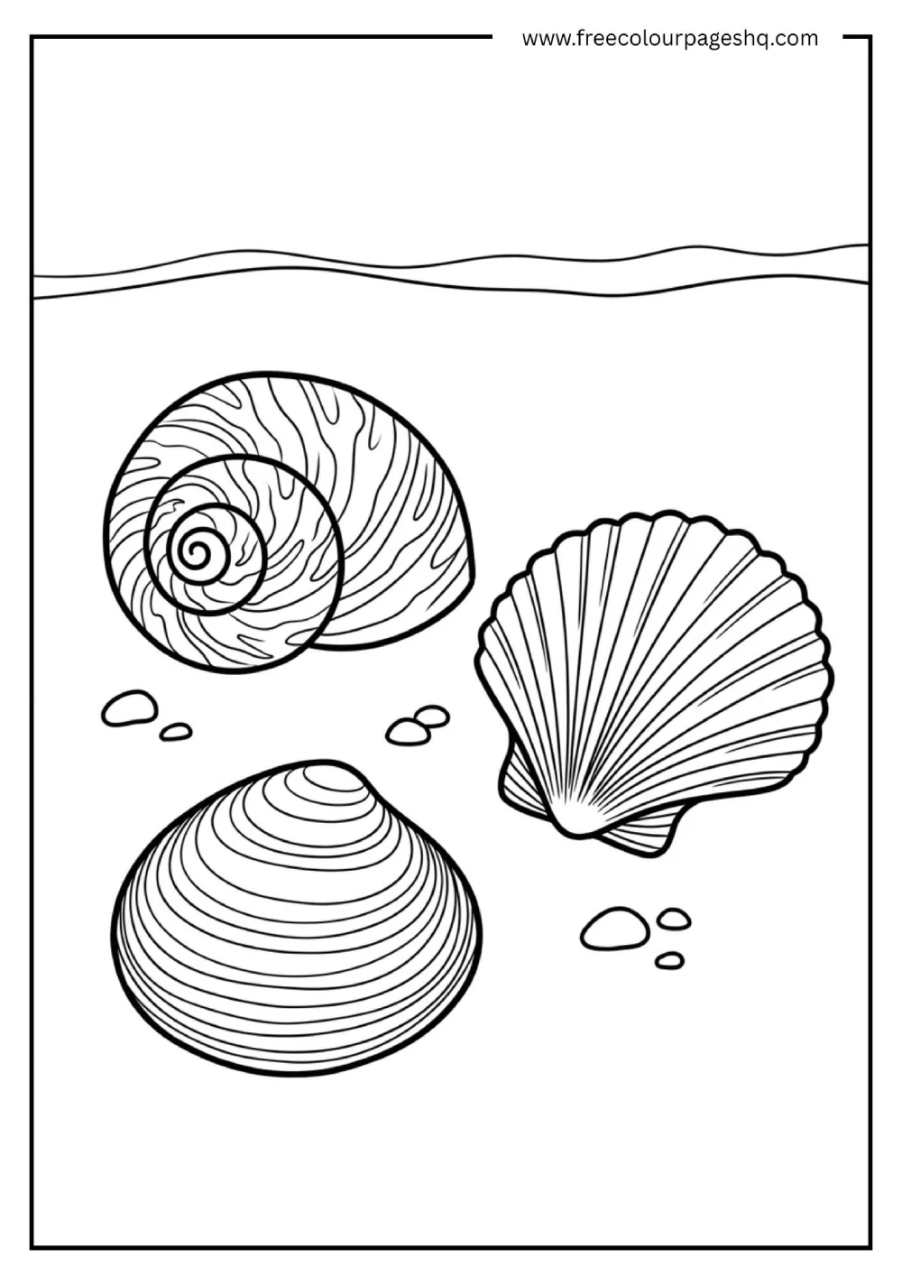 simple seashell coloring page for preschool