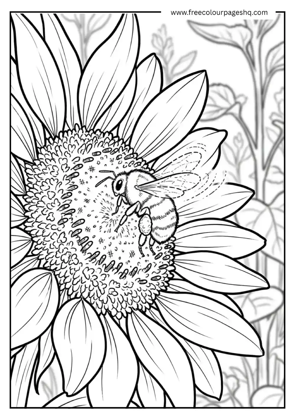 sunflower with bee collecting pollen coloring page