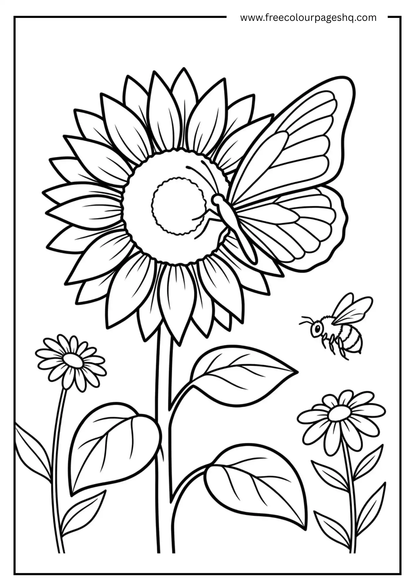 sunflower with butterfly easy coloring page kids