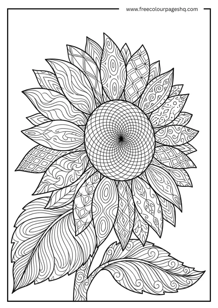 sunflower zentangle coloring page for adults