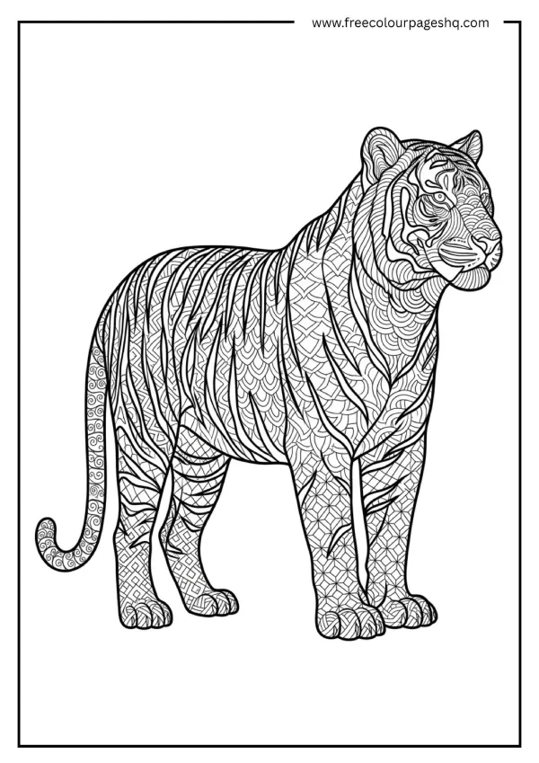 tiger zentangle coloring page for adults