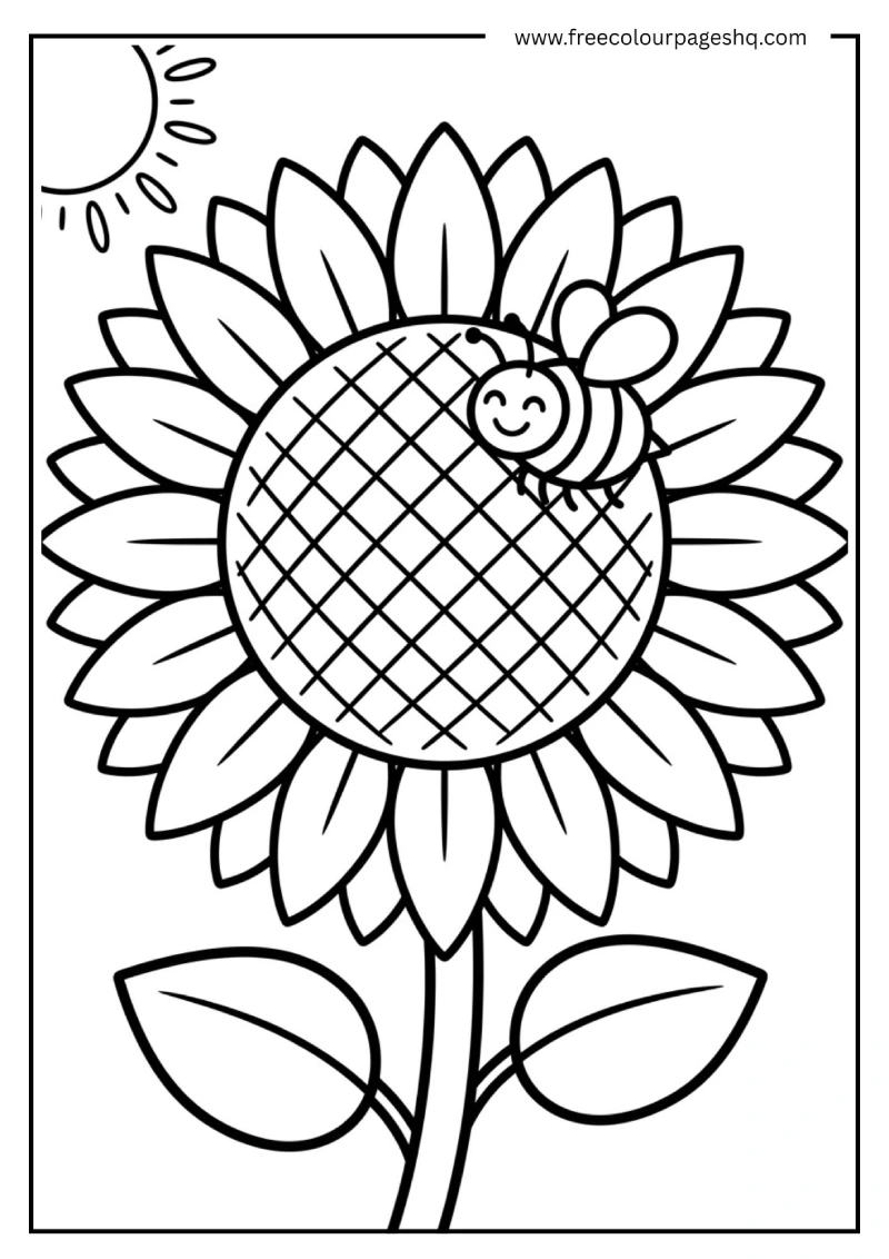 august coloring pages simple easy sunflower for kids