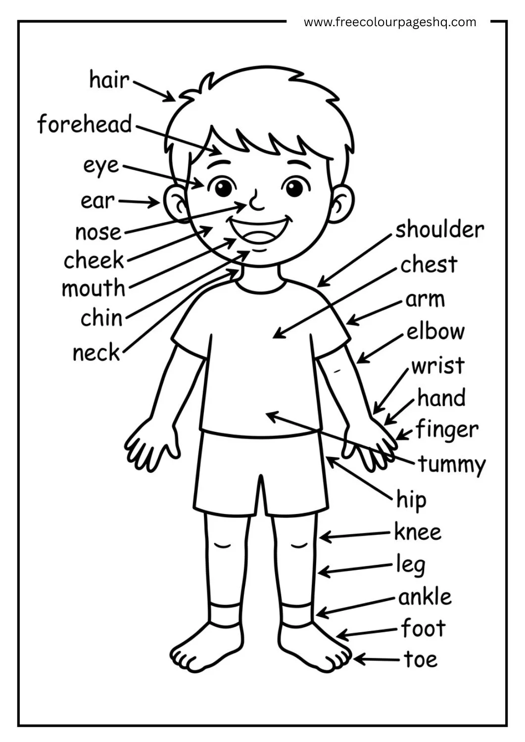body parts coloring page all body parts complete label