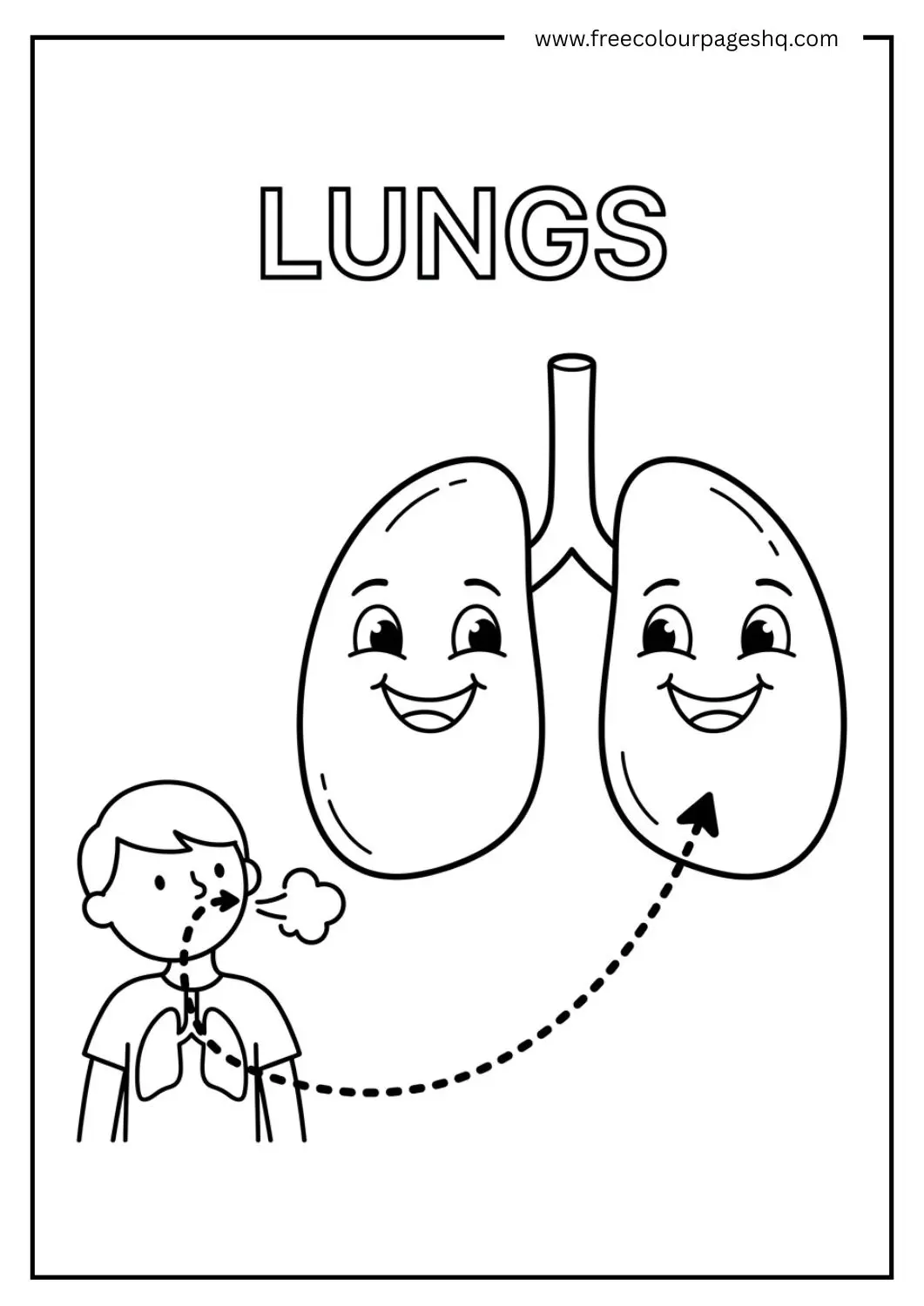 body parts coloring page lungs for kids
