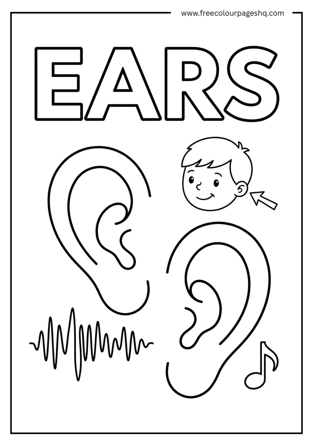 ears coloring page body parts kids
