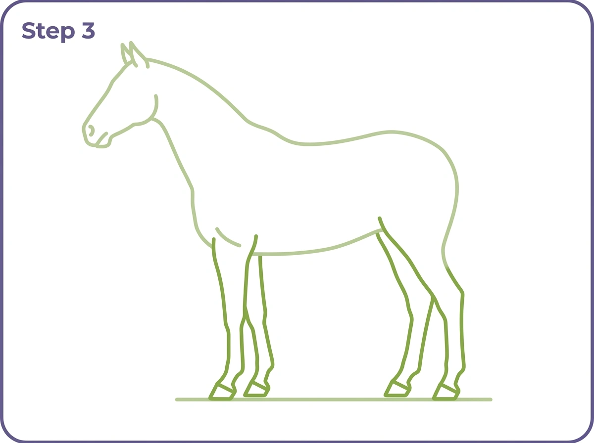how to draw a horse step 3 legs hooves