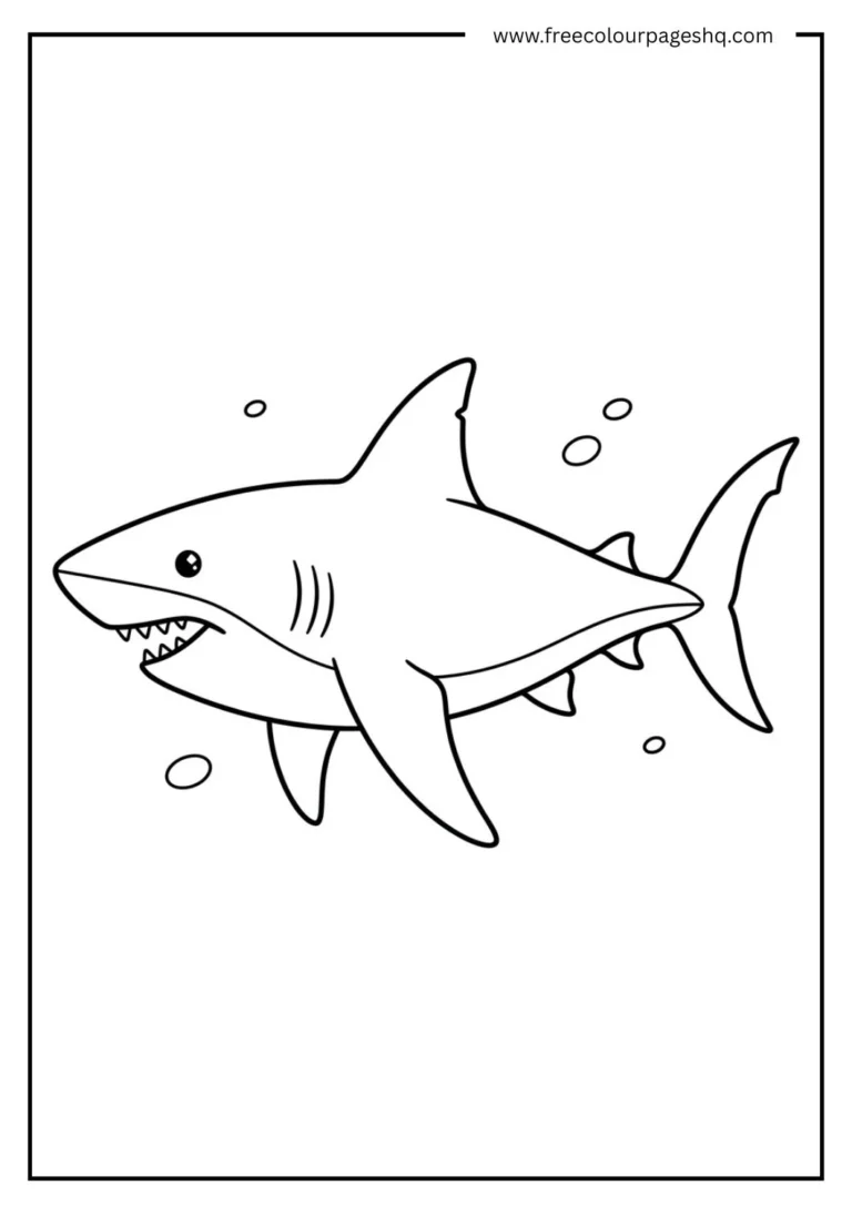 how to draw a shark coloring page printable