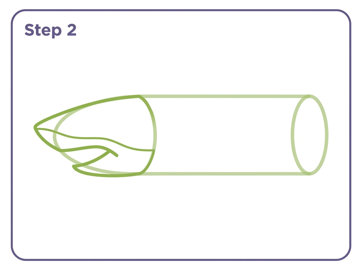 how to draw a shark step 2 mouth snout