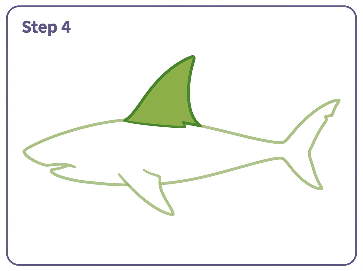 how to draw a shark step 4 dorsal fin