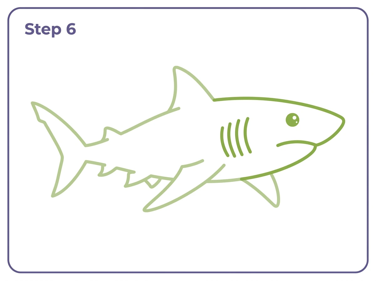 how to draw a shark step 6 eye gills