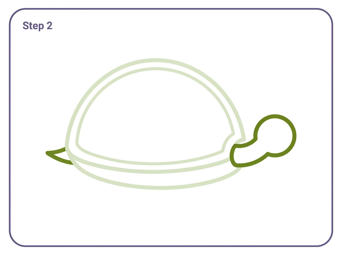 how to draw a turtle step 2 head neck tail