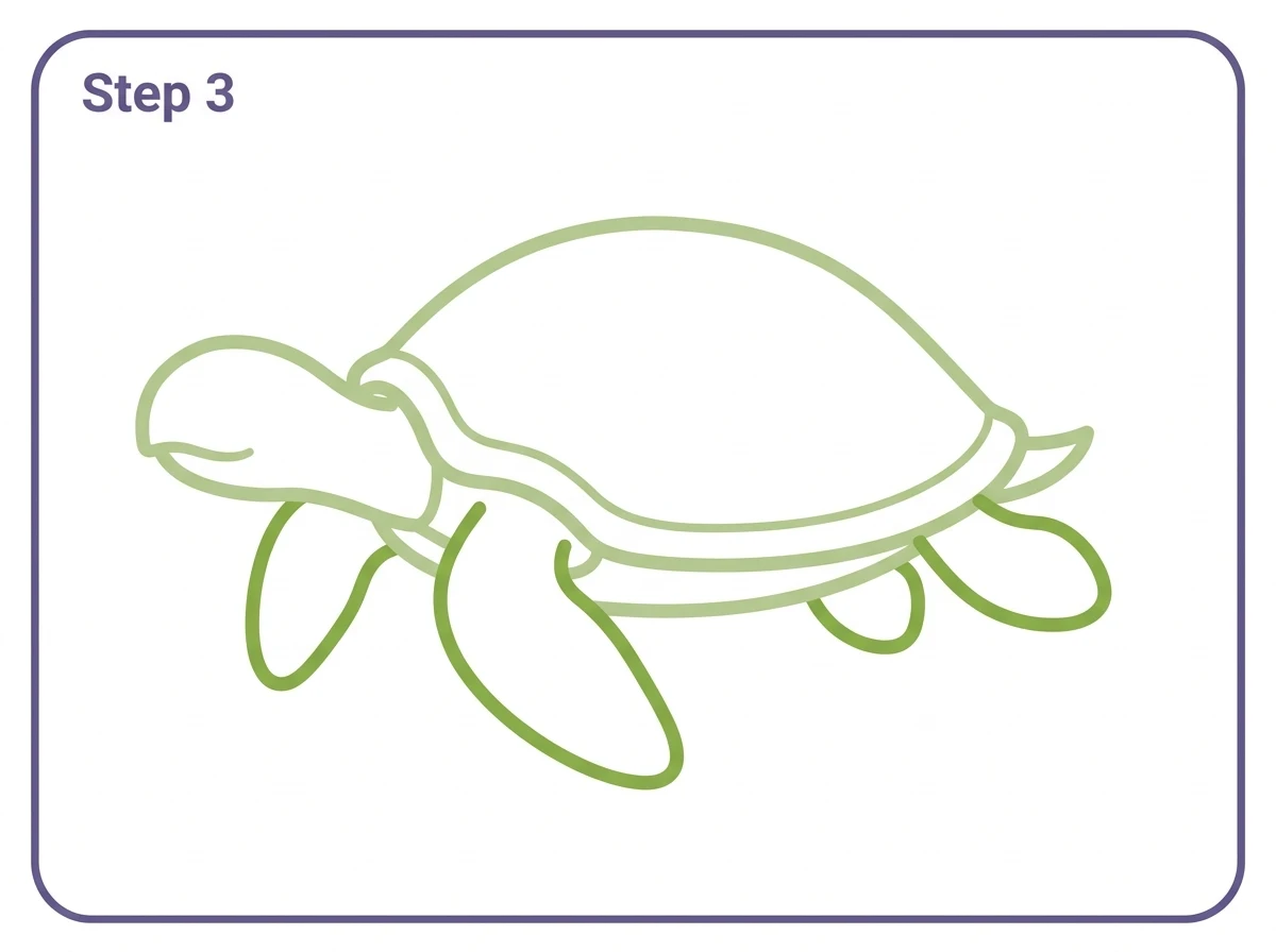 how to draw a turtle step 3 flippers