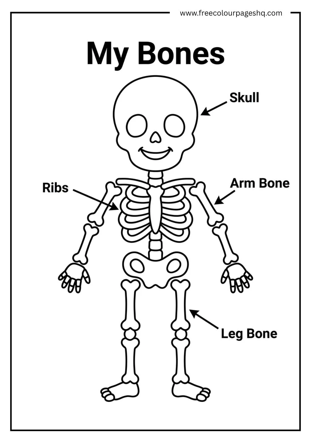 skeleton body parts coloring page for kids