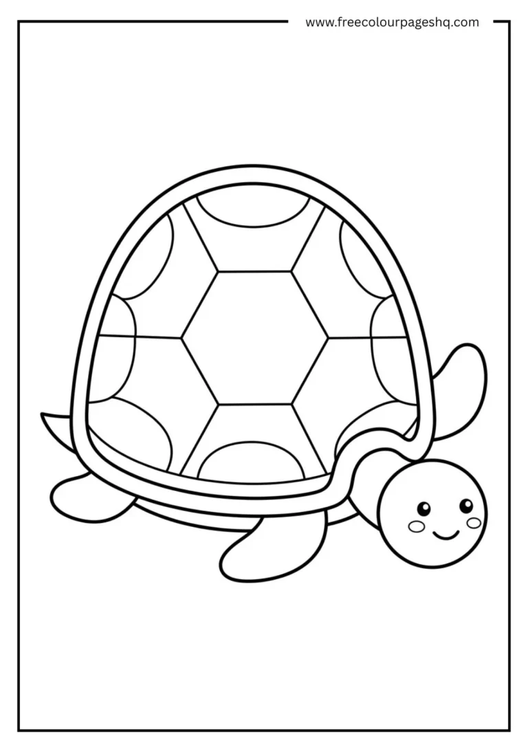turtle coloring sheet