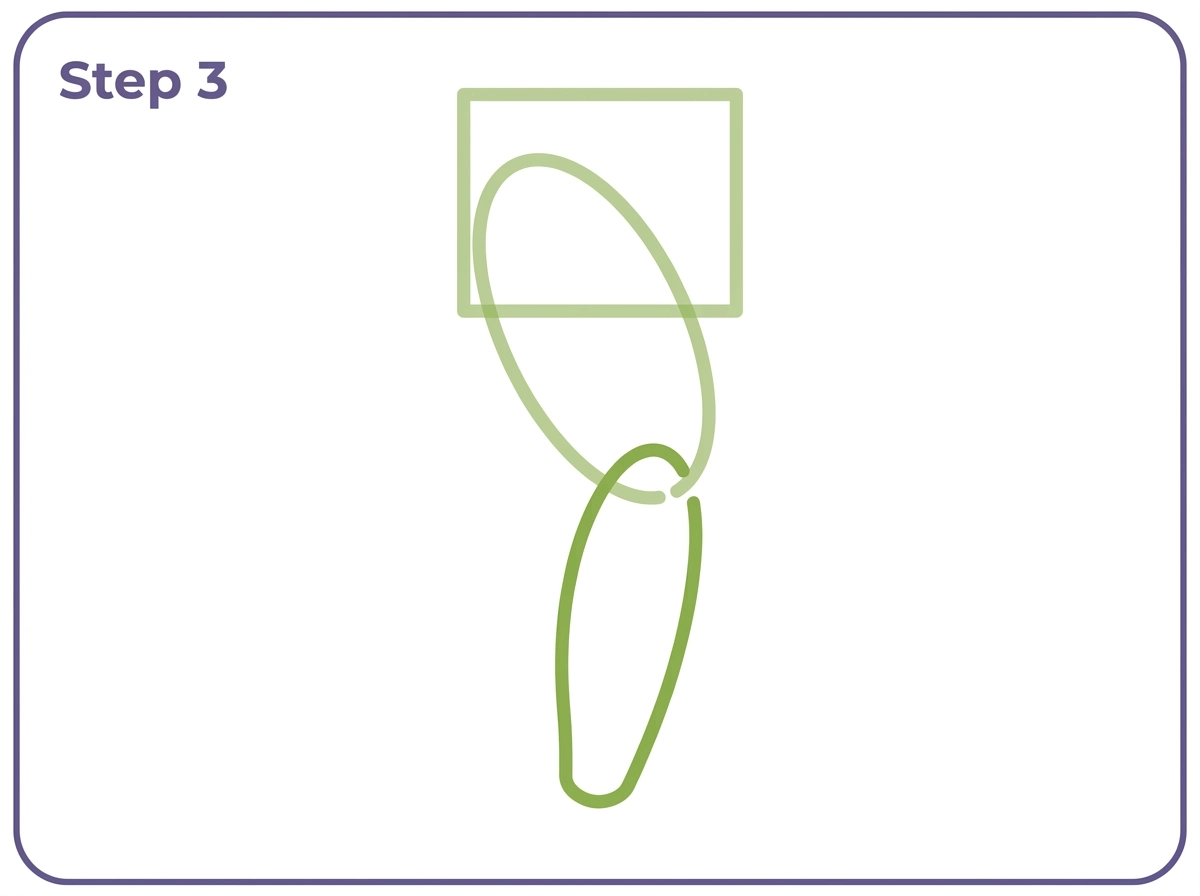 how to draw a leg step 3 calf oval